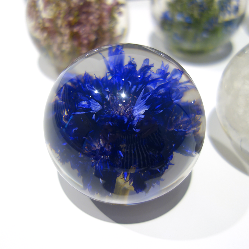 Hafod Grange Paperweight / Cornflower ヤグルマギク - amala